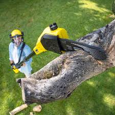 Best Lawn Maintenance Plans  in La Plata, NM